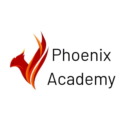 Wings of Phoenix – The Team Phoenix